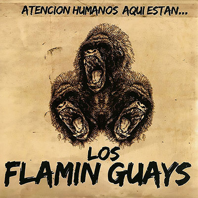 FlamingGuays_atencionhumanos