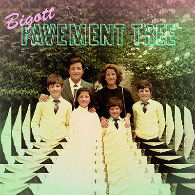 bigott_pavementtree