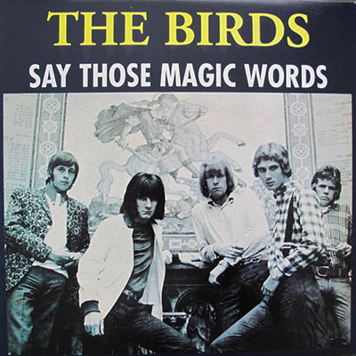 birds-say-those-magic-words-lp