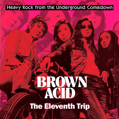 Brown-Acid-The-Eleventh-Trip-Lp-Vinilo