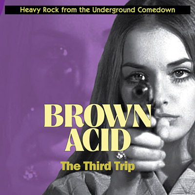 Brown-Acid-The-Third-Trip-Lp-Vinilo