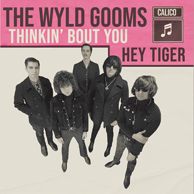 Thee wyld Gooms Thinkin About You Hey Tiger Sg Vinilo